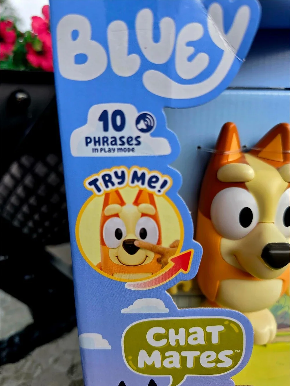 Bluey Chat Mates Bingo